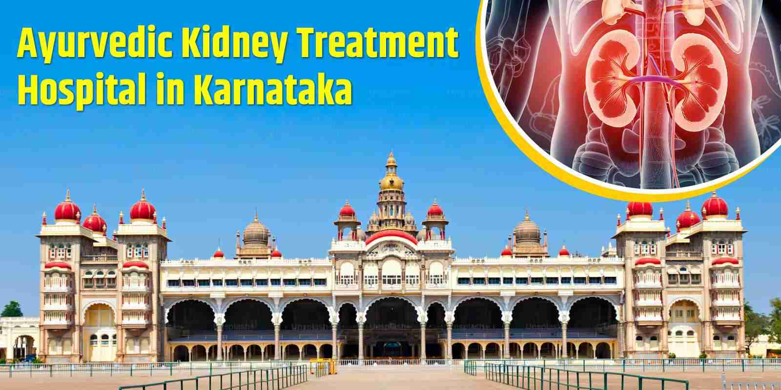 Ayurvedic Kidney Treatment Hospital in Karnataka